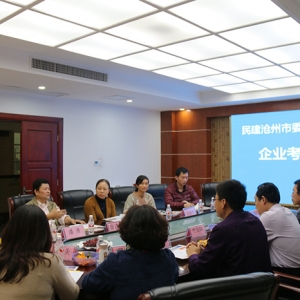 滄州民建考察團(tuán)、南寧市民建調(diào)研組——行來我集團(tuán)參觀考察 ... ...